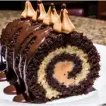 Chocolate Covered Peanut Butter Roll Cake